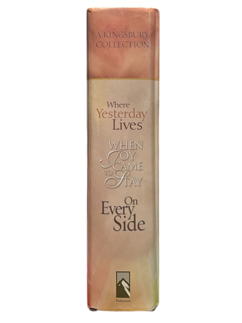 A Kingsbury Collection- Three Novels In One By Karen Kingsbury - Picture 4 of 12
